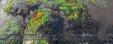     NOAA 19 