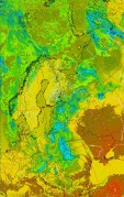     NOAA 19 