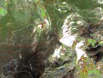     NOAA 19 