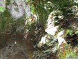     NOAA 19 