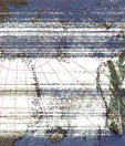     NOAA 19 