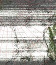     NOAA 19 
