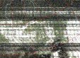     NOAA 19 