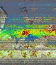     NOAA 19 