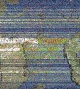     NOAA 19 