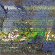     NOAA 19 