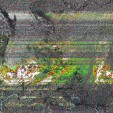     NOAA 19 