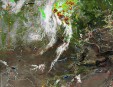     NOAA 19 