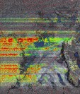     NOAA 19 