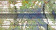     NOAA 19 
