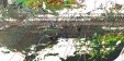    NOAA 19 