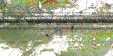     NOAA 19 