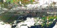     NOAA 19 