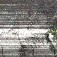     NOAA 19 