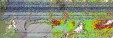     NOAA 19 