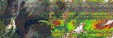     NOAA 19 