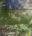     NOAA 19 