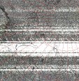     NOAA 19 
