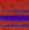     NOAA 19 