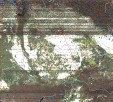     NOAA 19 