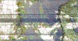     NOAA 19 