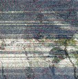     NOAA 19 