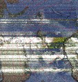     NOAA 19 