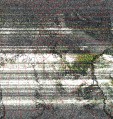     NOAA 19 