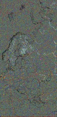     NOAA 19 