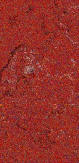     NOAA 19 