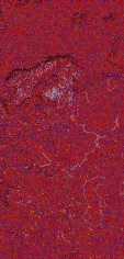     NOAA 19 