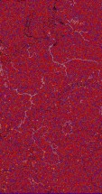     NOAA 19 