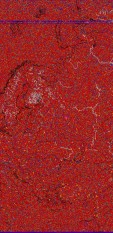     NOAA 19 
