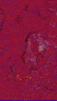     NOAA 19 